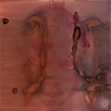  Uit clayfaces, 30-30 cm, 2014,  olieverflinnen